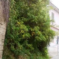 rione-marche-3