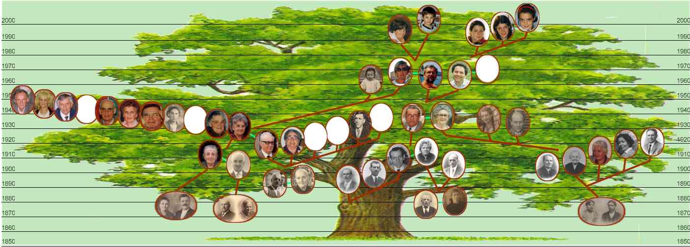 p 13 albero genealogico
