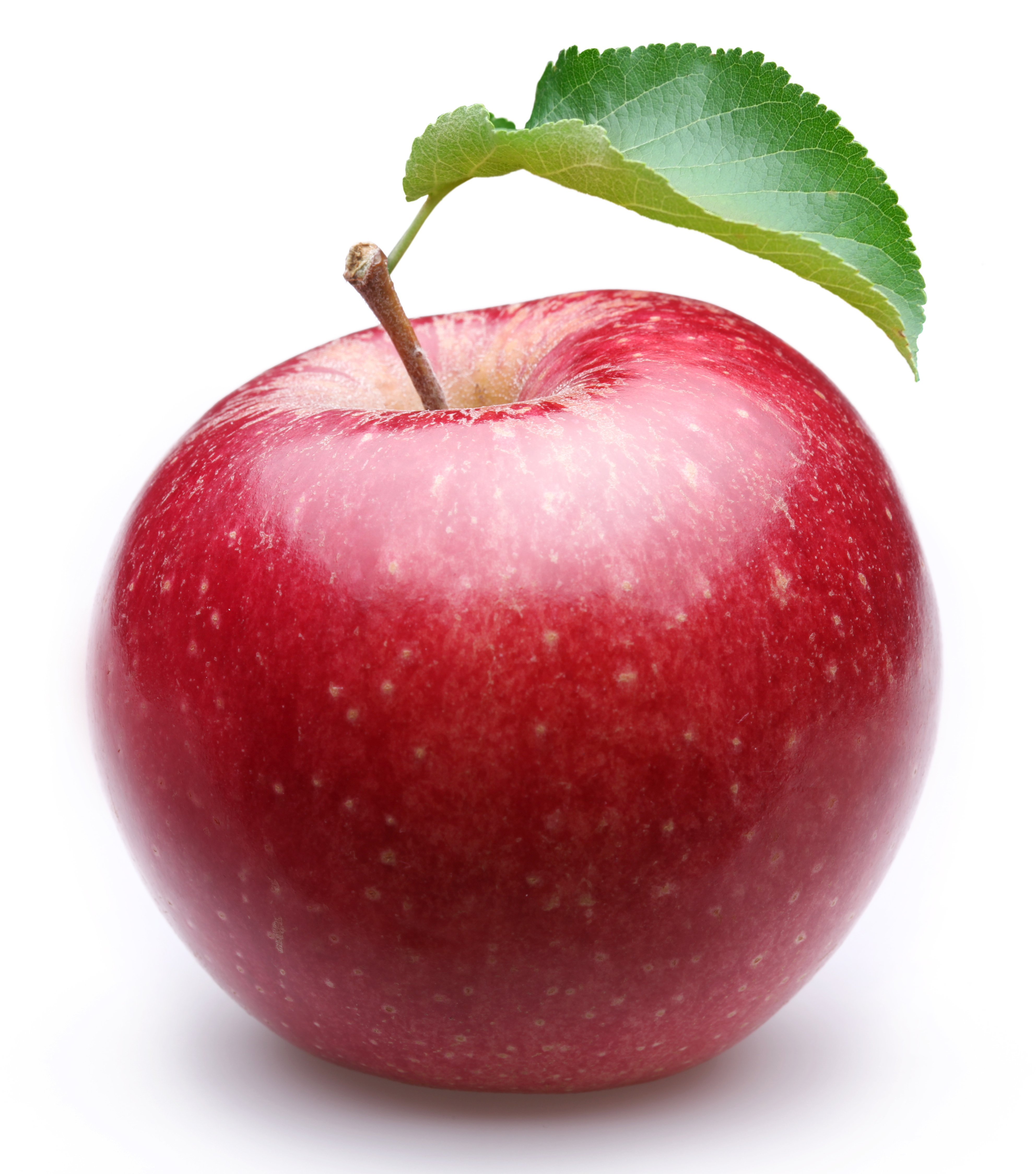 Ripe red apple with a leaf. Isolated on a white background.