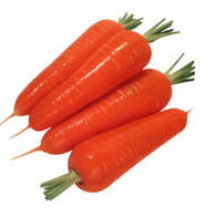 p 3 carota